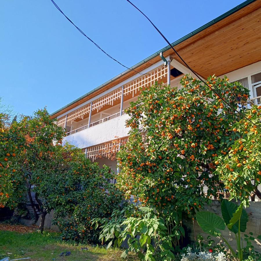 New Athos Inzhir Guest House المظهر الخارجي الصورة