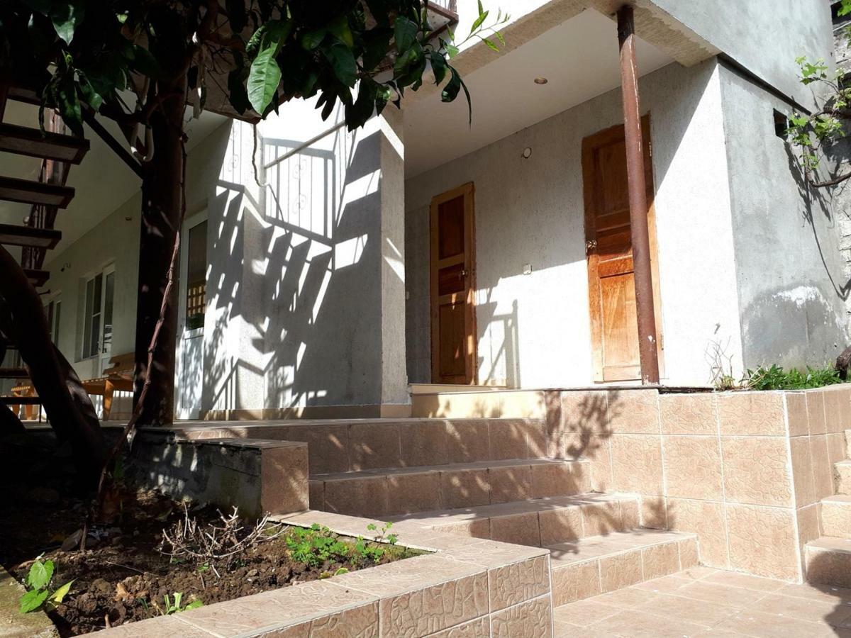 New Athos Inzhir Guest House المظهر الخارجي الصورة
