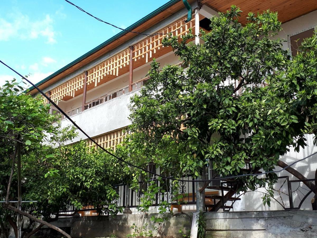 New Athos Inzhir Guest House المظهر الخارجي الصورة