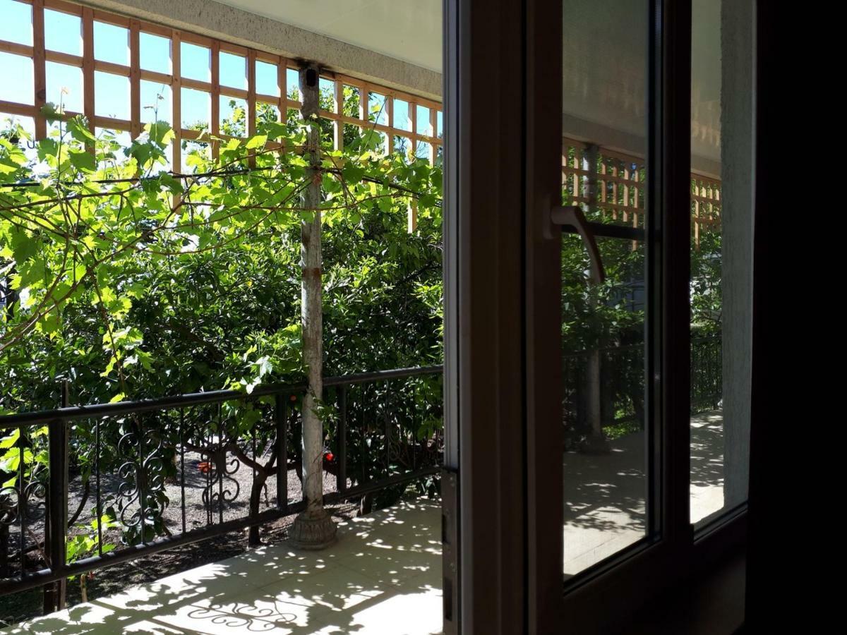 New Athos Inzhir Guest House المظهر الخارجي الصورة
