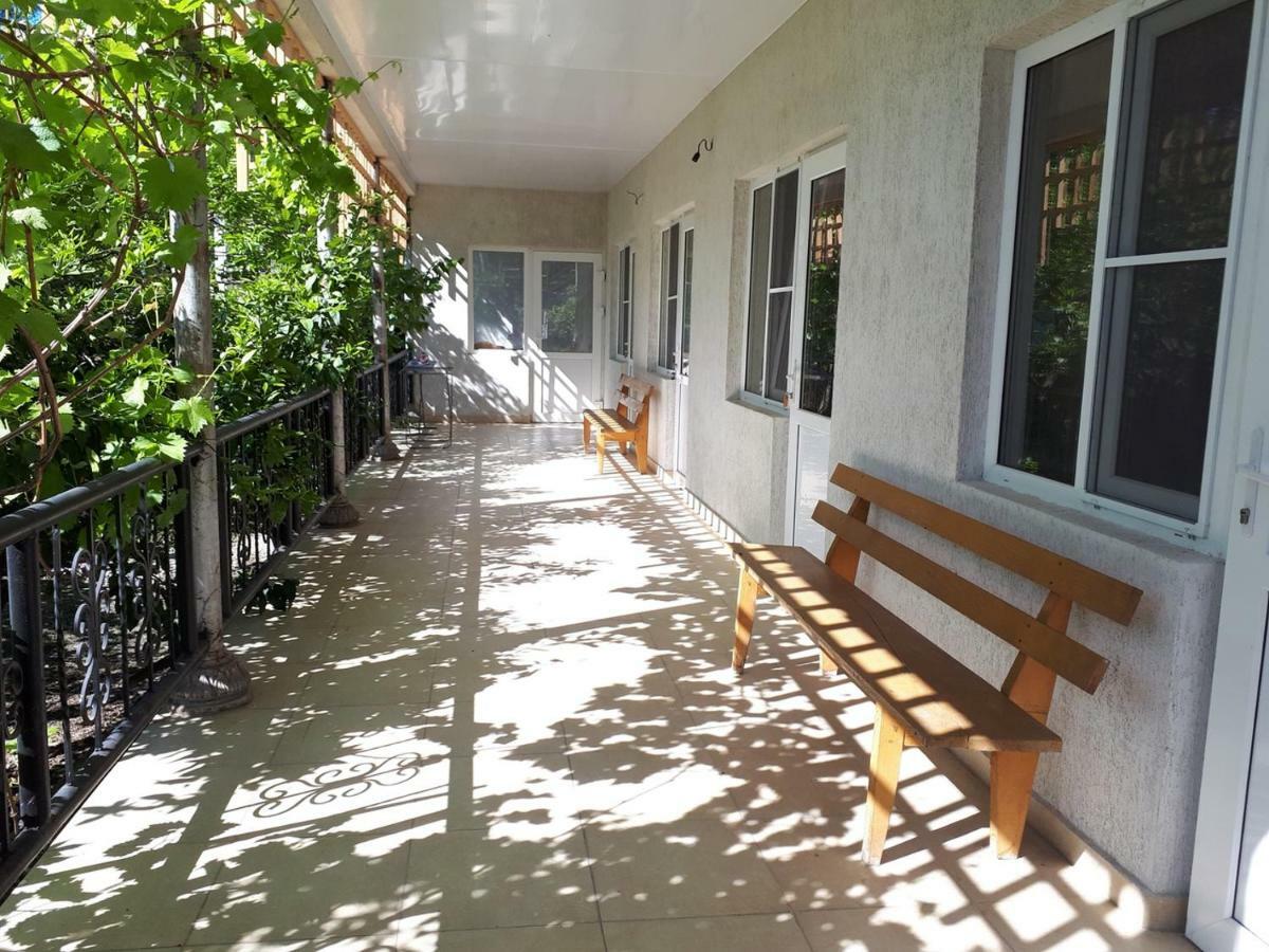 New Athos Inzhir Guest House المظهر الخارجي الصورة