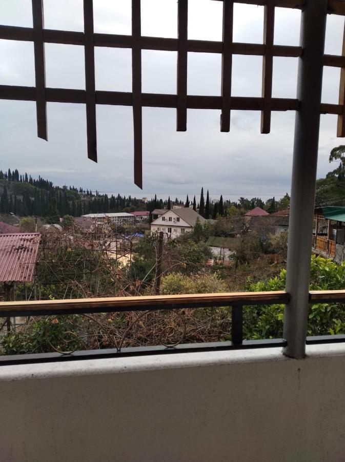 New Athos Inzhir Guest House المظهر الخارجي الصورة